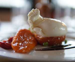 burrata salad